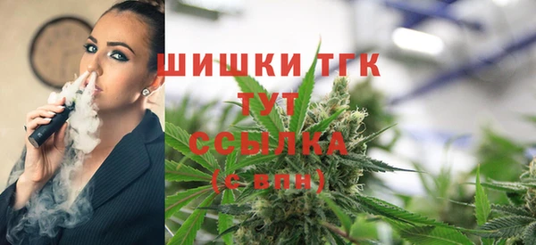 spice Абаза